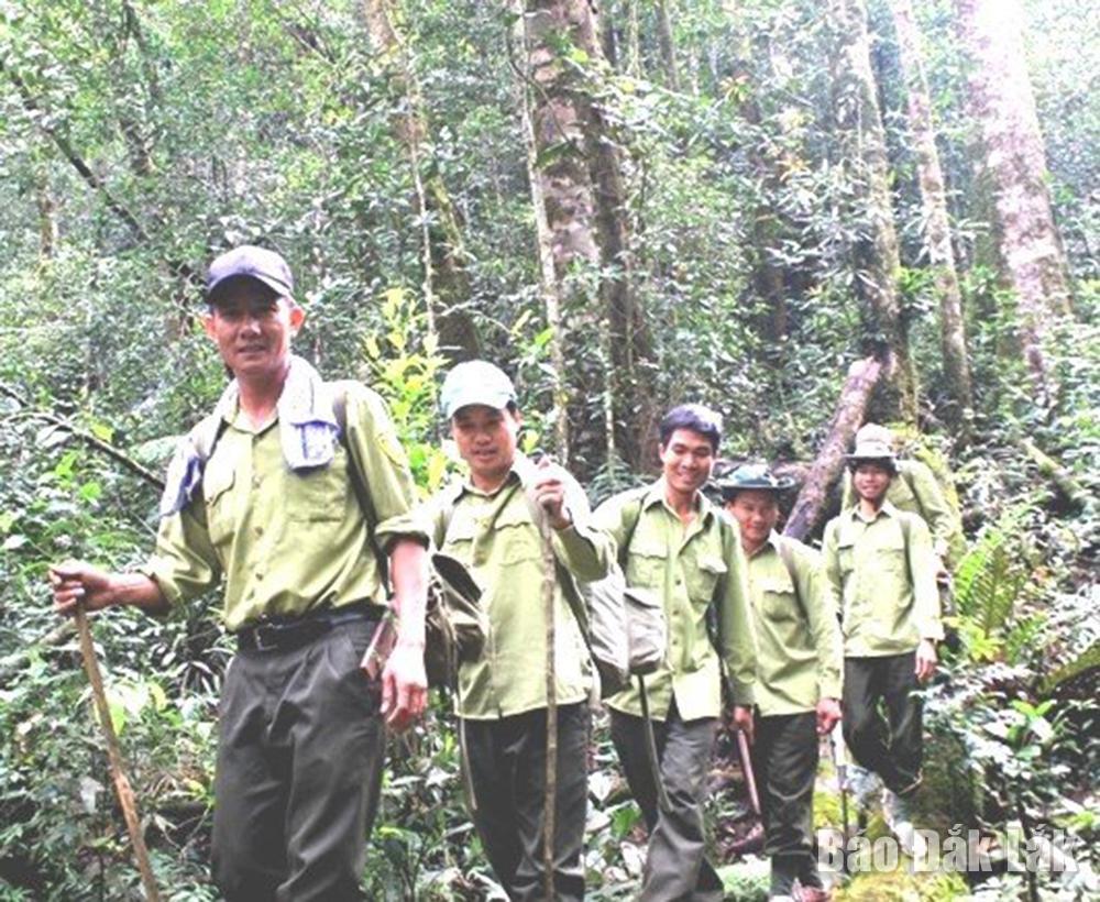 Phát động cuộc thi tìm kiếm giải pháp, sáng kiến trong công tác   quản lý, bảo vệ, sử dụng và phát triển rừng